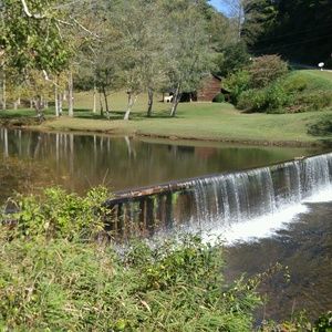 Meet your Posher, Sherry